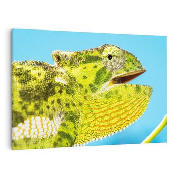 Obraz na płótnie 120x80 - Kameleon w swoim świecie - kameleon, jaszczurka