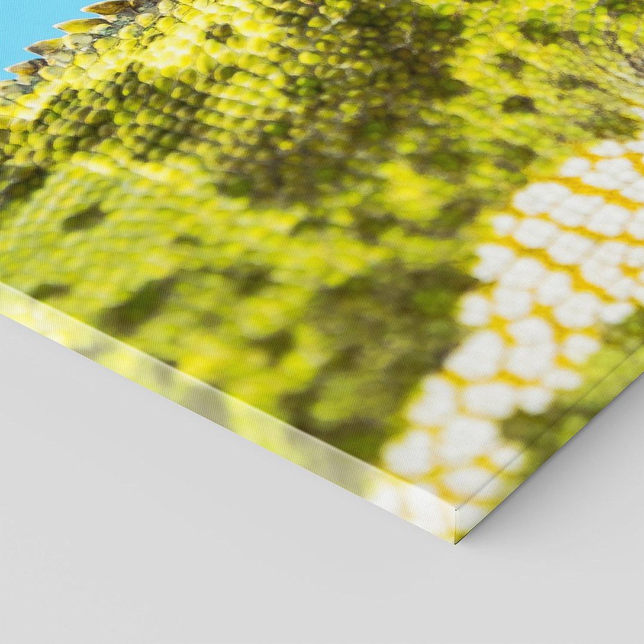 Obraz na płótnie 120x60 - Kameleon w swoim świecie - kameleon, jaszczurka