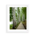 Plakat w ramie 40x50 - Spacer ścieżką przez brzozowy las - las, ścieżka - rama biała