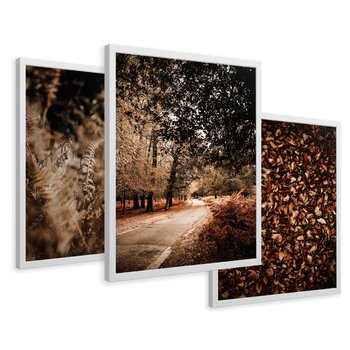 Zestaw obrazy w ramie 50x70 galeria - Jesienne, liście, nostalgia - rama biała