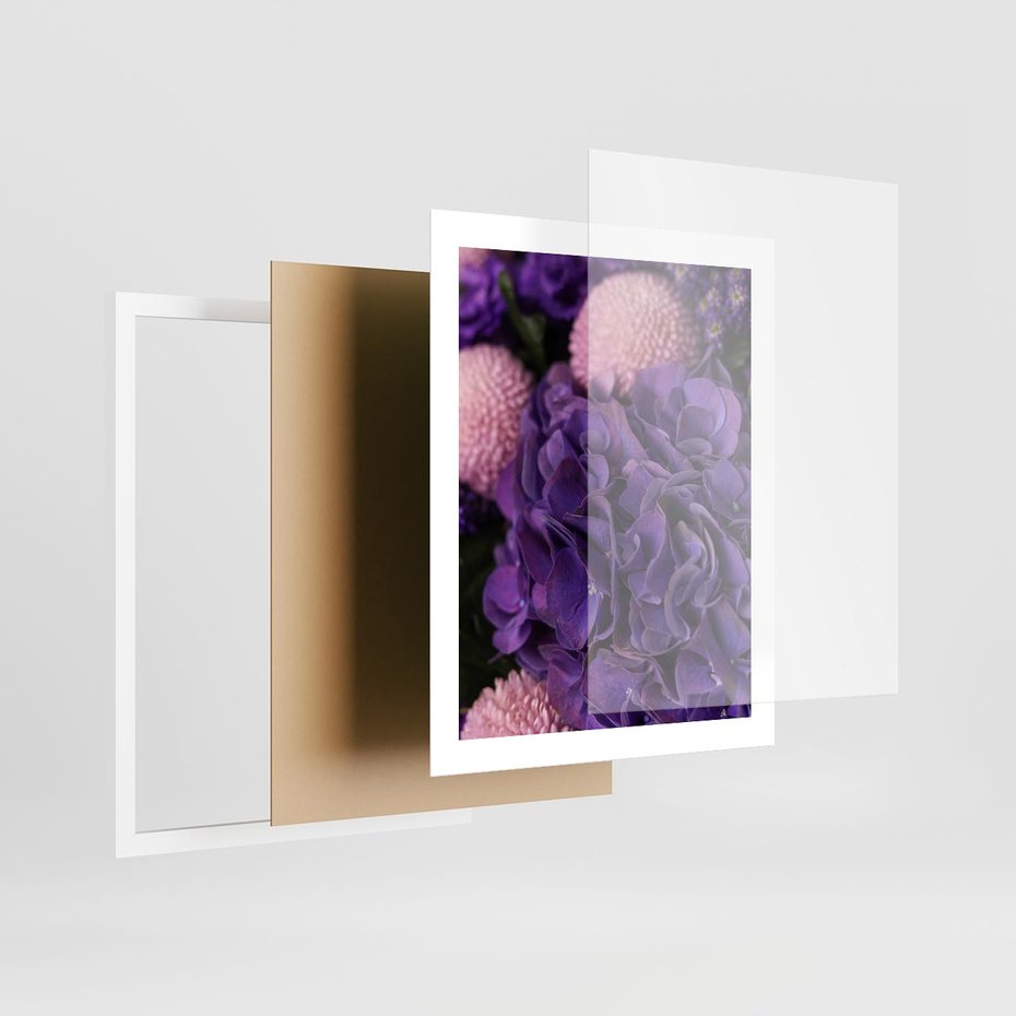 Plakat w ramie 40x50 - Fioletowa hortensja - kwiaty, hortensja - rama biała