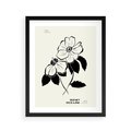 Plakat w ramie 40x50 - Poezja kwiecistej kreski - kwiaty, minimalistyczne - rama czarna