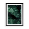 Plakat w ramie 50x70 - Liście Bananowca - minimalizm, zielone liście bananowca - rama czarna