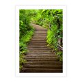 Plakat bez ramy 21x30 - Magia Leśnej Ścieżki - ścieżka, w lesie