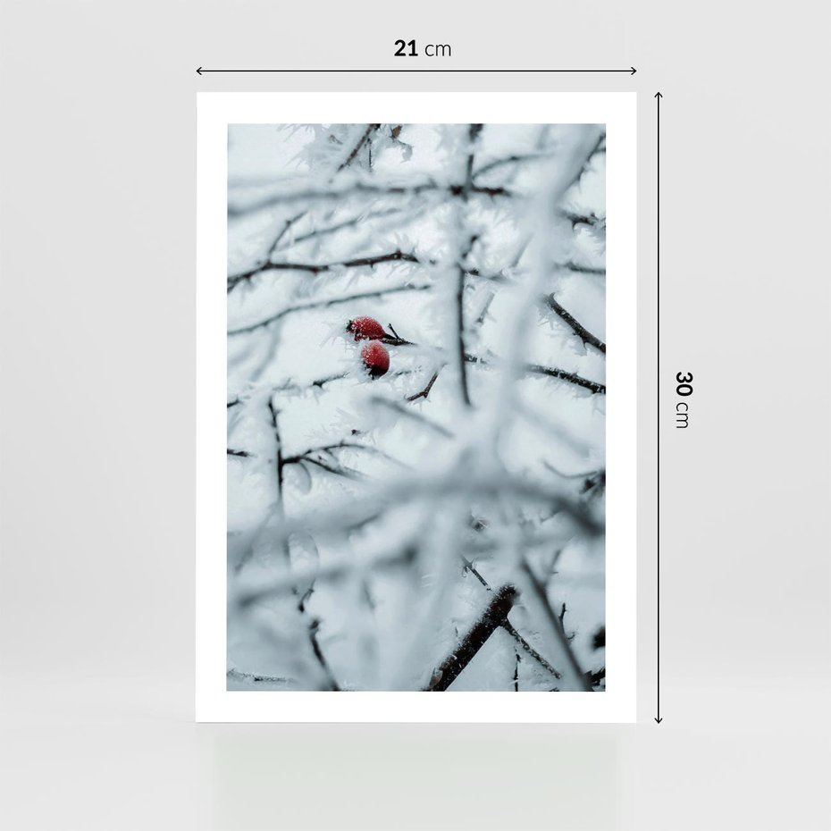 Plakat bez ramy 21x30 - Zima w Detalu: Gałęzie ze Szronem i Śniegiem - śnieg, zima