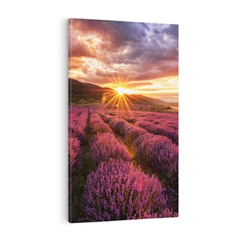 Obraz na płótnie 80x120 - Lawenda: Pachnące pole kwiatów - kwiaty, lawenda