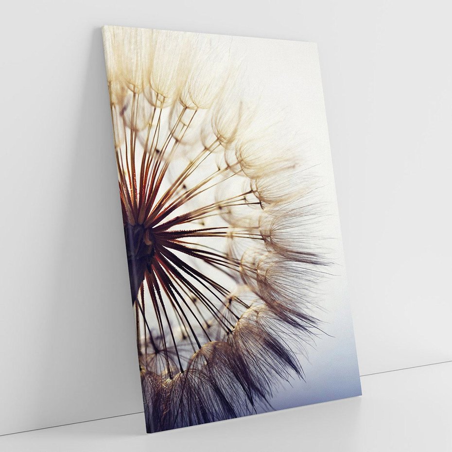 Obraz na płótnie 80x120 - Makro piękno dmuchawca - makro, dmuchawiec