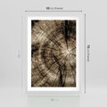 Plakat w ramie 50x70 - Natura Pod Lupą - pień drzewa, przekrój - rama biała