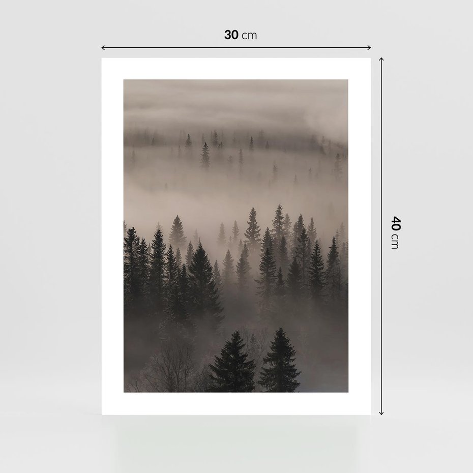 Plakat bez ramy 30x40 - Mglista Opowieść Lasu - las, mgła