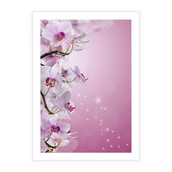 Plakat bez ramy 30x40 - Relaksujące Piękno - kwiaty, orchidea