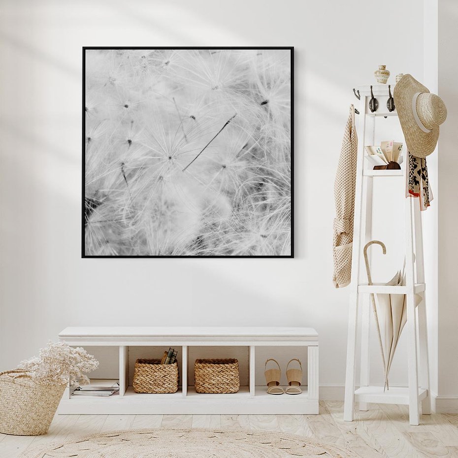 Obraz w ramie 50x50 - Zdmuchnięty Puch - dmuchawce, delikatne - rama czarna