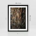 Plakat w ramie 30x40 - Tekstura Drewna: Zbliżenie - zbliżenie na pień drzewa, tekstura - rama czarna