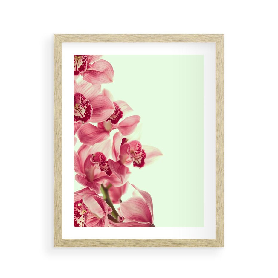 Plakat w ramie 40x50 - Orchidea - delikatne kwiaty - orchidea, kwiaty - rama drewno