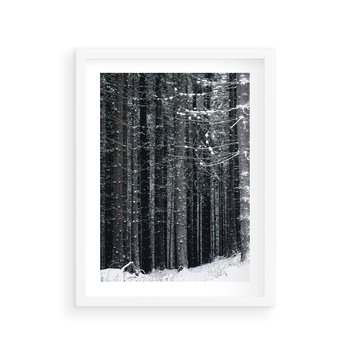 Plakat w ramie 40x50 - Leśna Cisza: Malowniczy Pejzaż Zimą - las zimą, ośnieżone pnie drzew - rama biała
