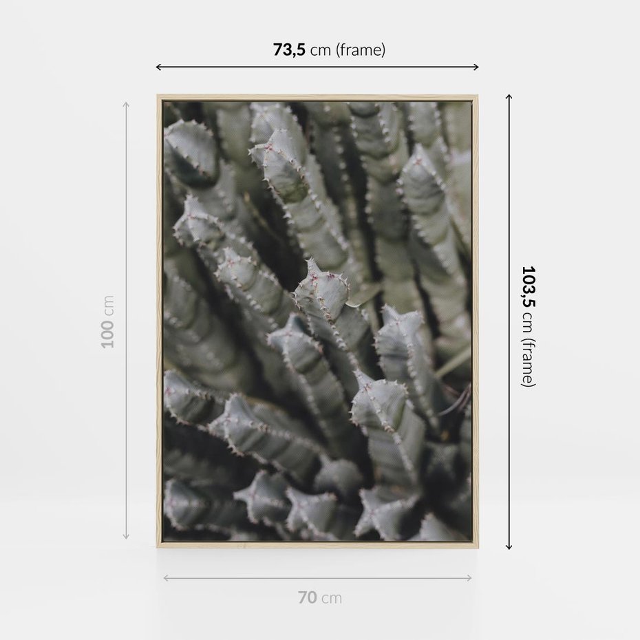 Obraz w ramie 70x100 - Boho kaktusy na pustyni - kaktusy, pustynia - rama drewno