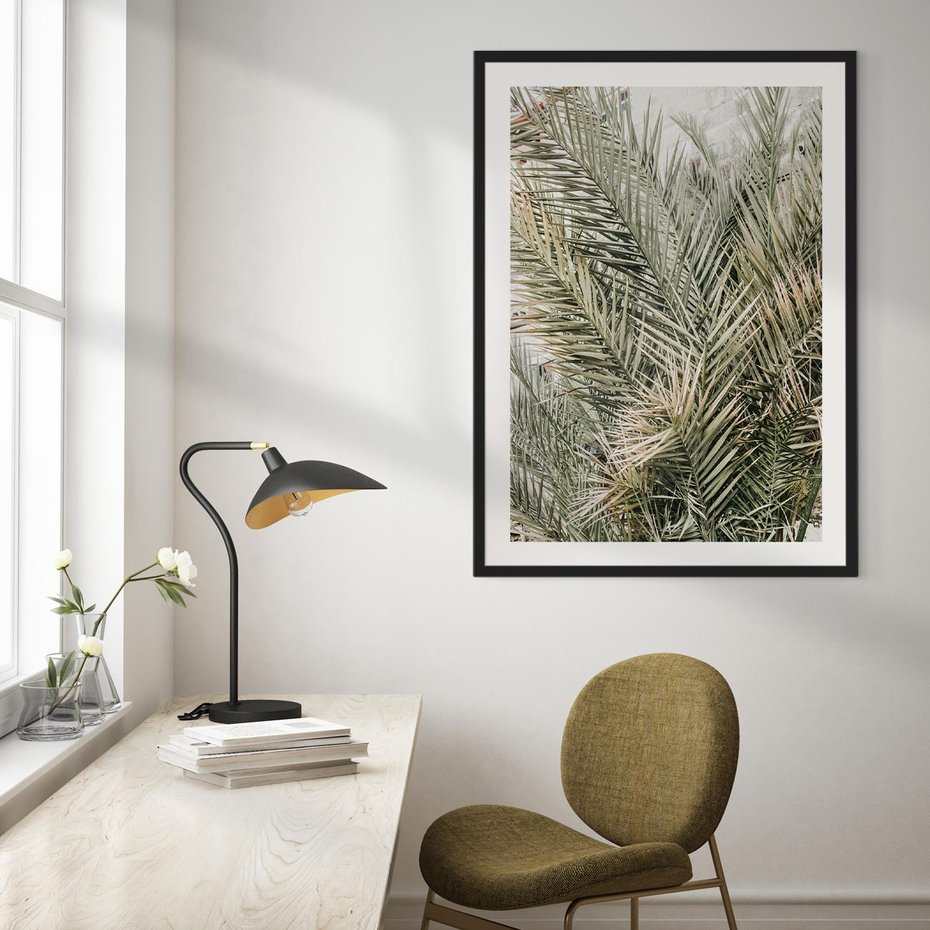 Plakat bez ramy 50x70 - Egzotyczny Świat Palm - palmy, liście palmy