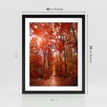 Plakat w ramie 40x50 - Magia jesiennego lasu - las, jesień - rama czarna