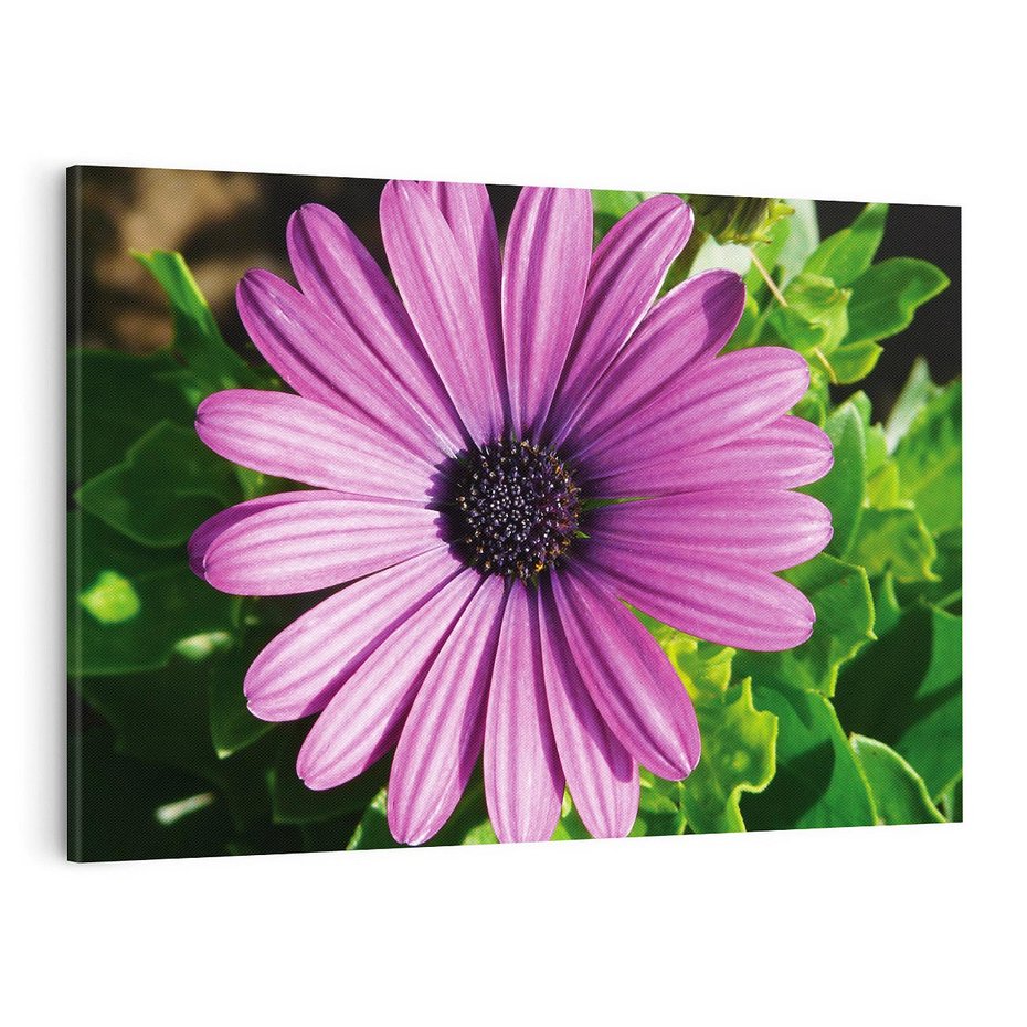 Obraz na płótnie 120x80 - Kwiatowy Dotyk - kwiat, kwiaty