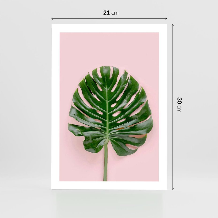 Plakat bez ramy 21x30 - Monstera w Różowym Świetle - liść monstery, różowe tło