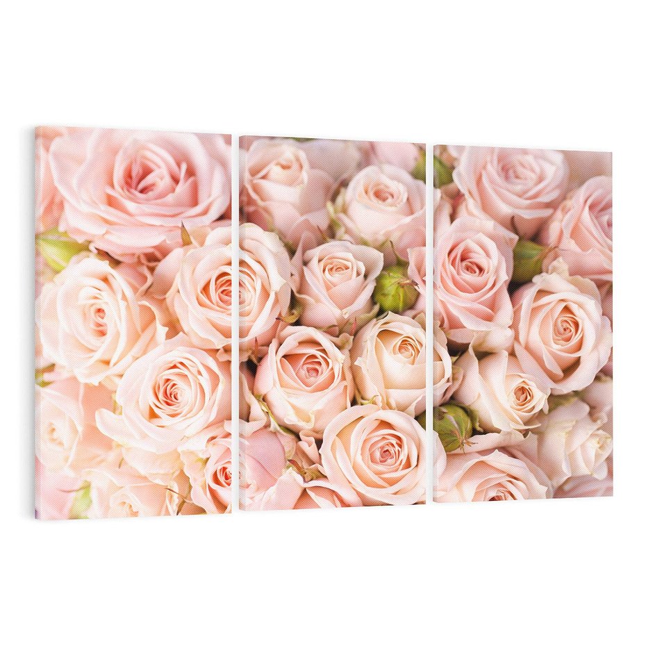 Obraz na płótnie 120x80 - Delikatność róż - piękno natury - róże, kwiaty