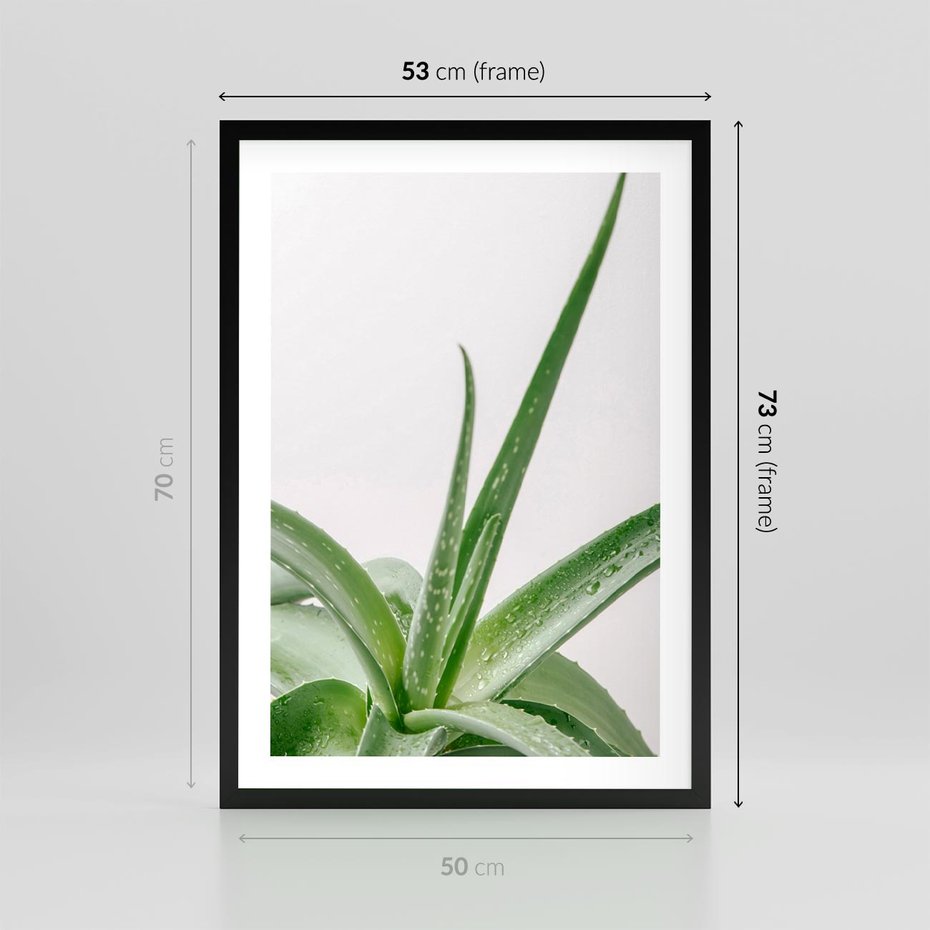 Plakat w ramie 50x70 - Zielone Piękno - aloes, liście - rama czarna