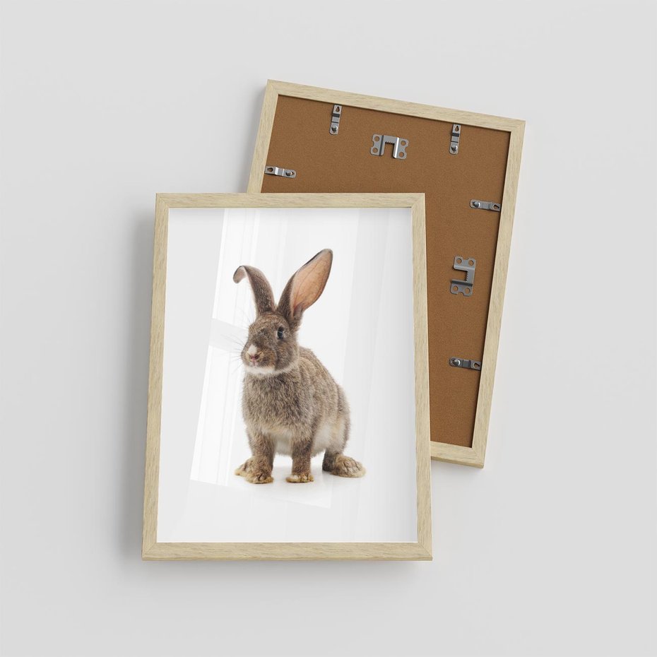 Plakat w ramie 30x40 - Delikatna Zwierzęca Uroda - królik, zwierzę - rama drewno
