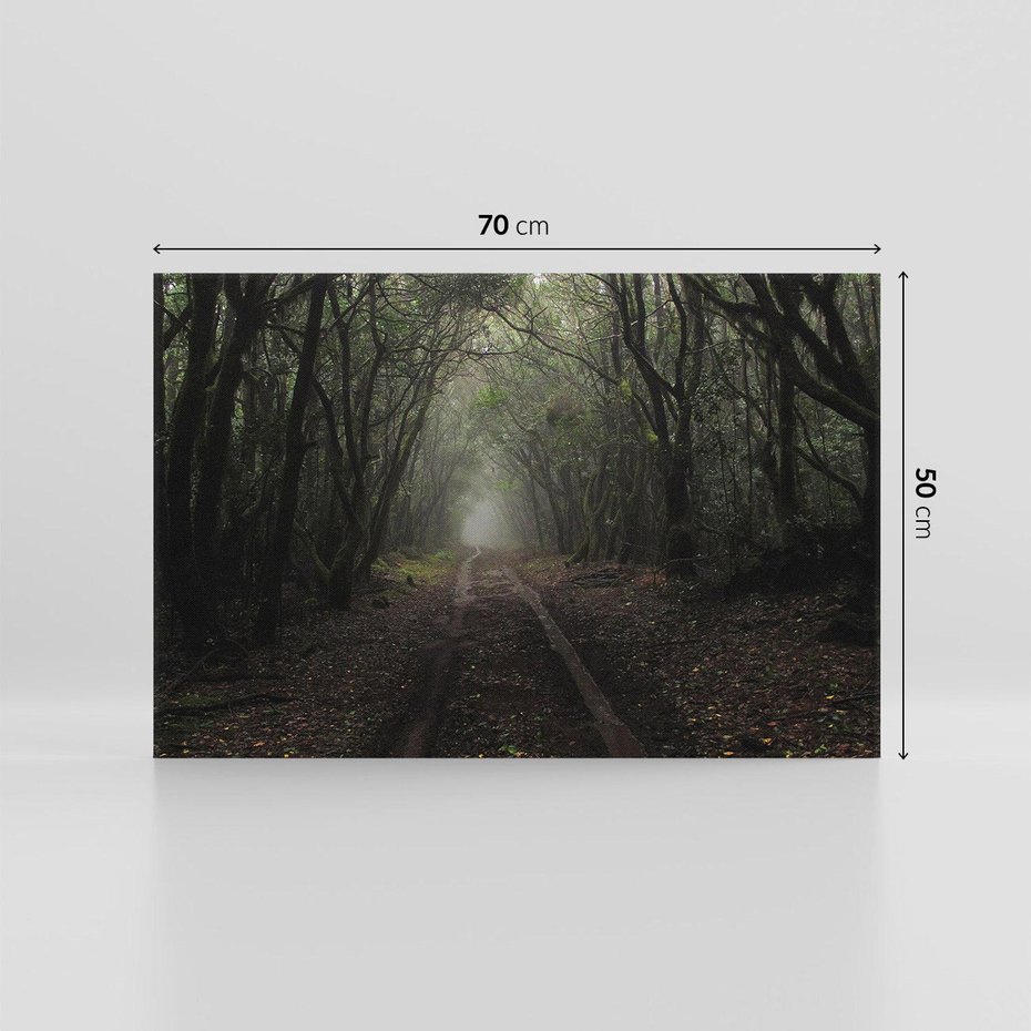 Obraz na płótnie 70x50 - Urok Drogi - las, droga
