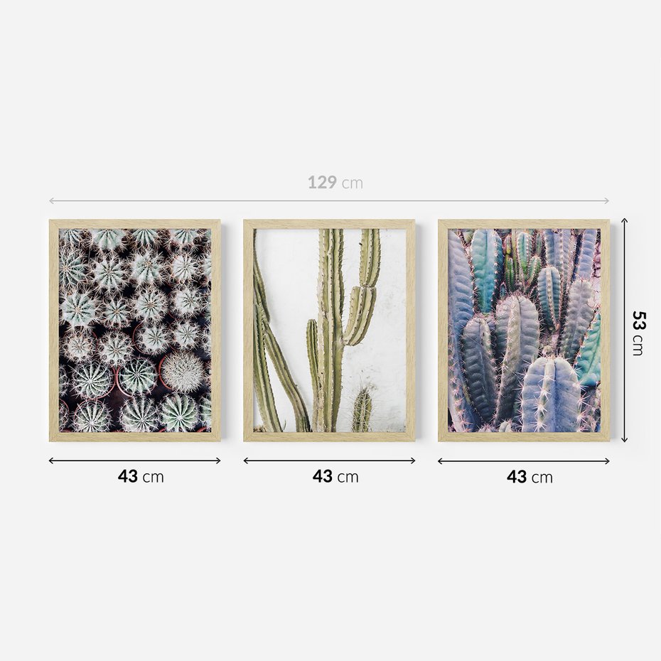 Zestaw obrazy w ramie 40x50 galeria - Kaktusy, liście, boho - rama drewno