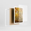 Plakat w ramie 50x70 - Jesienny Las - Kolorowa Paleta Natury - jesień, drzewa - rama biała