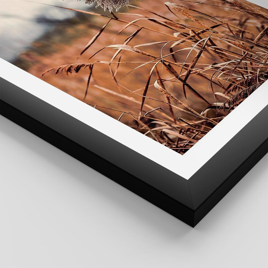 Plakat w ramie 50x70 - Jesienna Melancholia - suche trawy, jesień - rama czarna