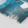 Obraz na płótnie 30x30 - Łabędzi Śpiew - fotografia, plakat