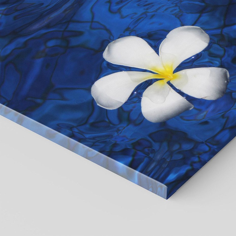 Obraz na płótnie 60x60 - Kwiaty wodne delikatność natury - kwiat, woda