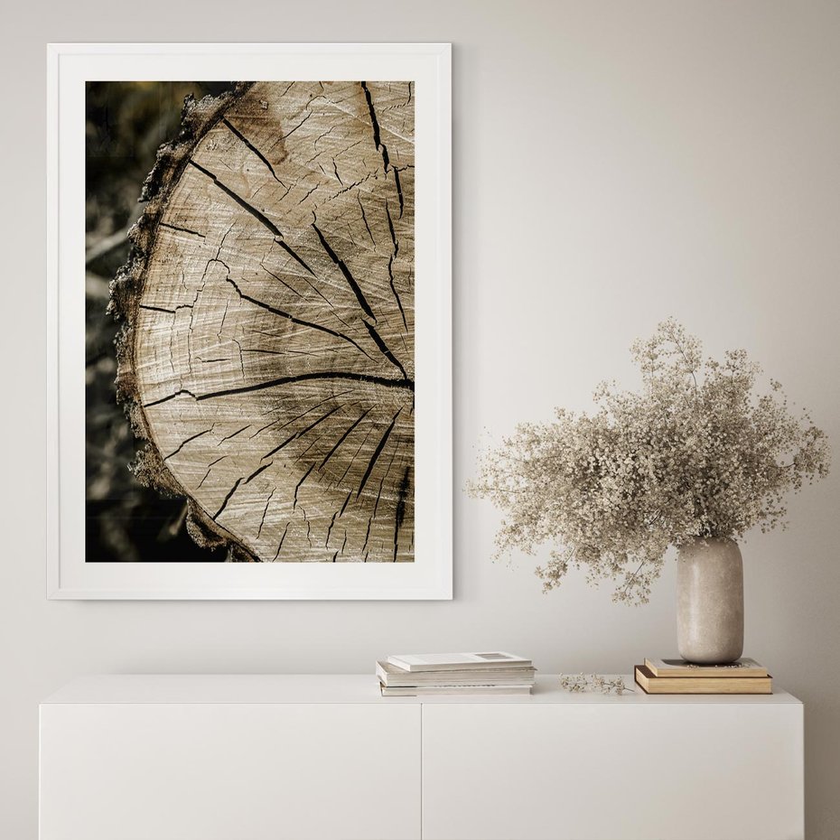 Plakat bez ramy 21x30 - Wnętrze Natury - pień, przecięty pień