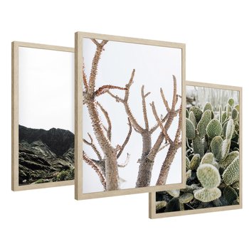 Zestaw obrazy w ramie 50x70 galeria - Pustynia, kaktusy, zieleń, boho - rama drewno