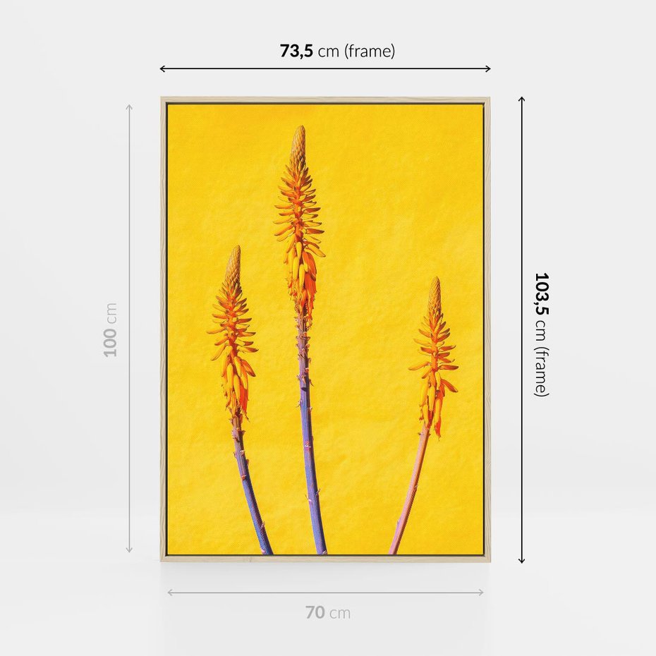 Obraz w ramie 70x100 - Radość Natury - kolor, kwiaty - rama drewno