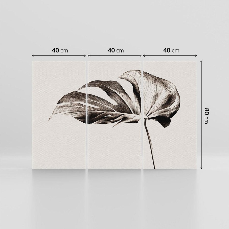 Obraz na płótnie 120x80 - Szapczący Liść - szkic, czarno biały