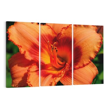 Obraz na płótnie 120x80 - Kwiatowa harmonia natury - kwiat, kwiaty