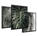 Zestaw obrazy w ramie 50x70 galeria - Liście, palmy, monstery - rama czarna