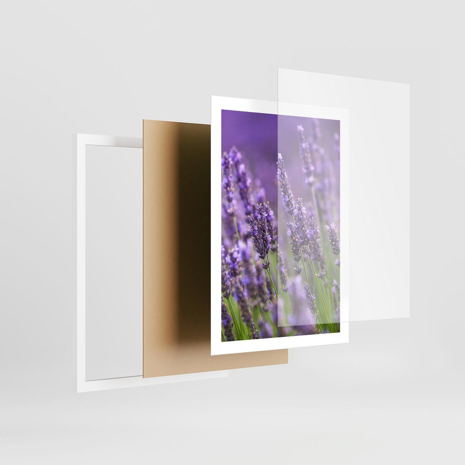 Plakat w ramie 50x70 - Urok lawendy - lawenda, kwiaty - rama biała