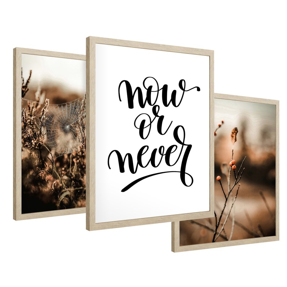 Zestaw obrazy w ramie 40x50 galeria - Boho, cytat, motywacja, trawy - rama drewno