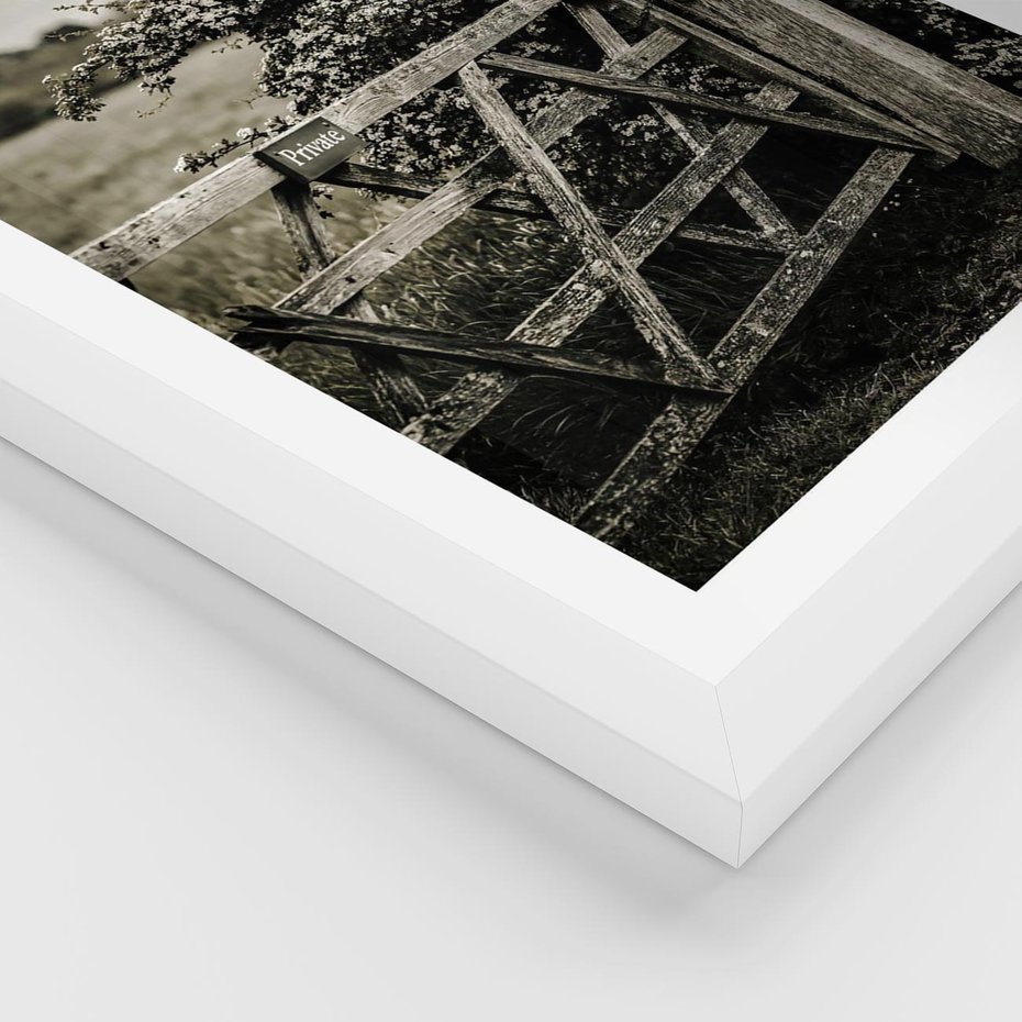 Plakat w ramie 30x40 - Wiejski Urok: Stary Płot i Kwitnący Krzew - rustykalne zdjęcie, stary płot - rama biała