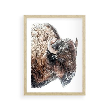 Plakat w ramie 50x70 - Obraz Dzikiej Przyrody w Śnieżnym Otoczeniu - żubr, śnieg - rama drewno