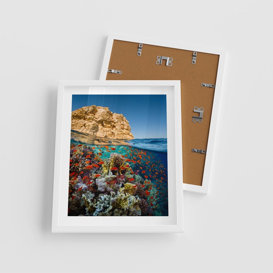 Plakat w ramie 40x50 - Rafa koralowa w oceanie - rafa, koralowa - rama biała