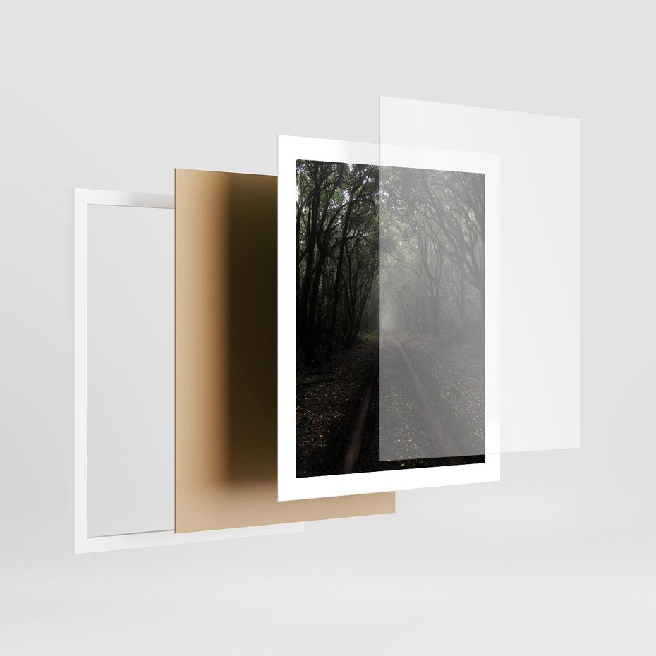 Plakat w ramie 40x50 - Urok Drogi - las, droga - rama biała