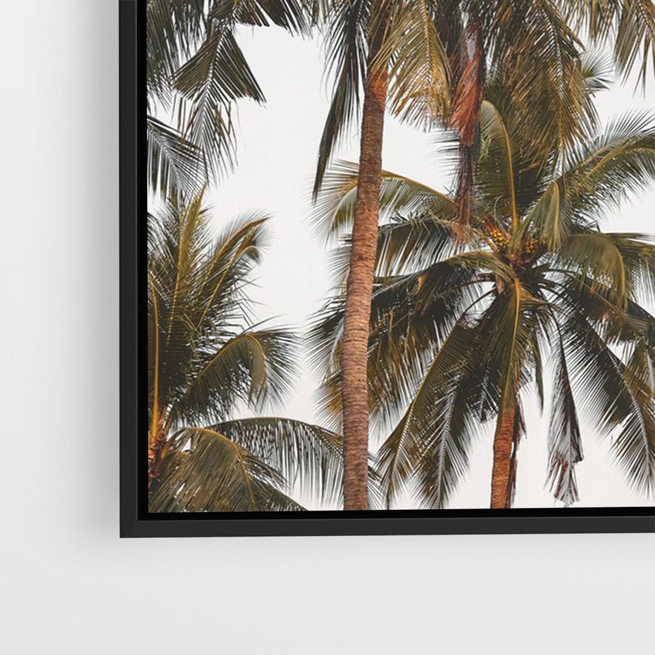 Obraz w ramie 50x70 - Palmy - tęsknota za Hawajami - palmy, Hawaje - rama czarna