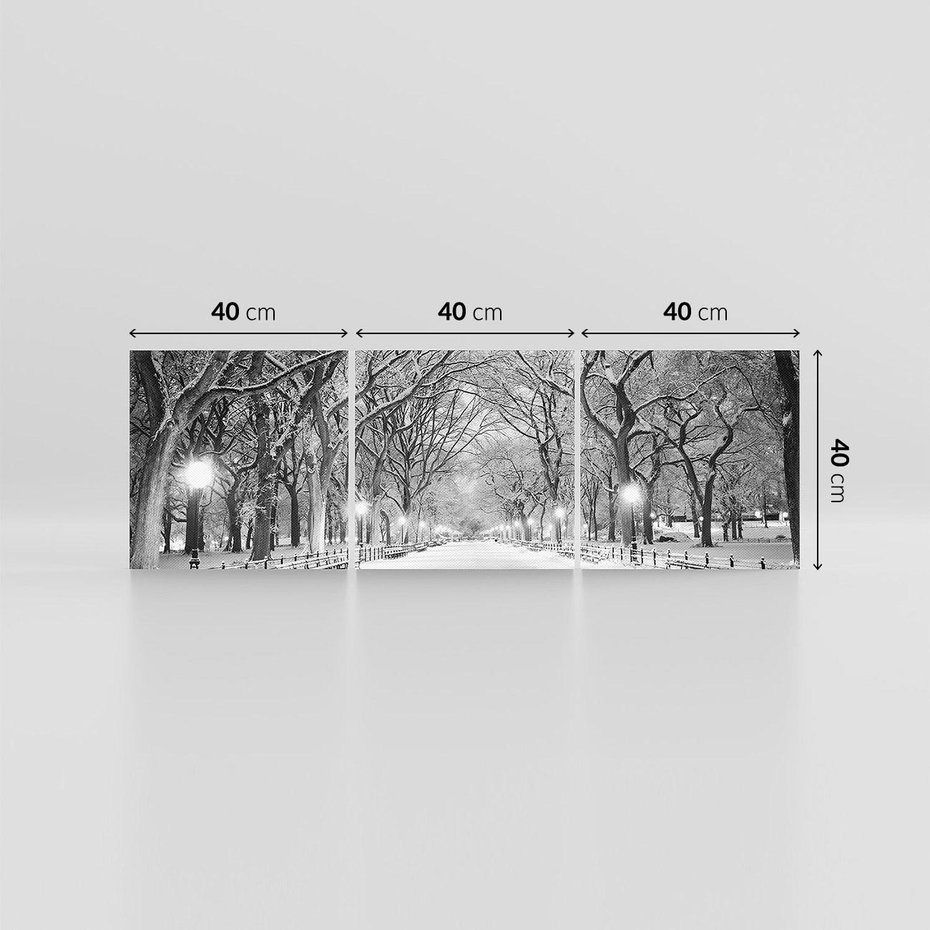 Obraz na płótnie 120x40 - cisza wśród drzew - zima, park