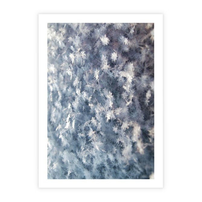 Plakat bez ramy 21x30 - Magia Śnieżnych Kryształków - śnieg, szron