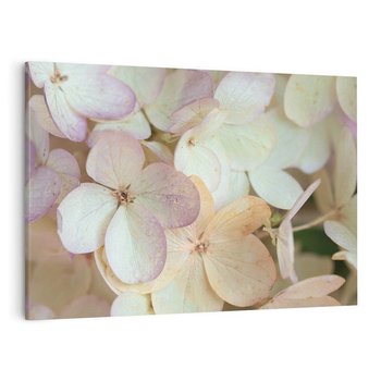 Obraz na płótnie 120x80 - Kwiatowy taniec - kwiaty, hortensje