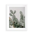 Plakat w ramie 40x50 - Imponujący Kaktus - duży kaktus, opuncja - rama biała