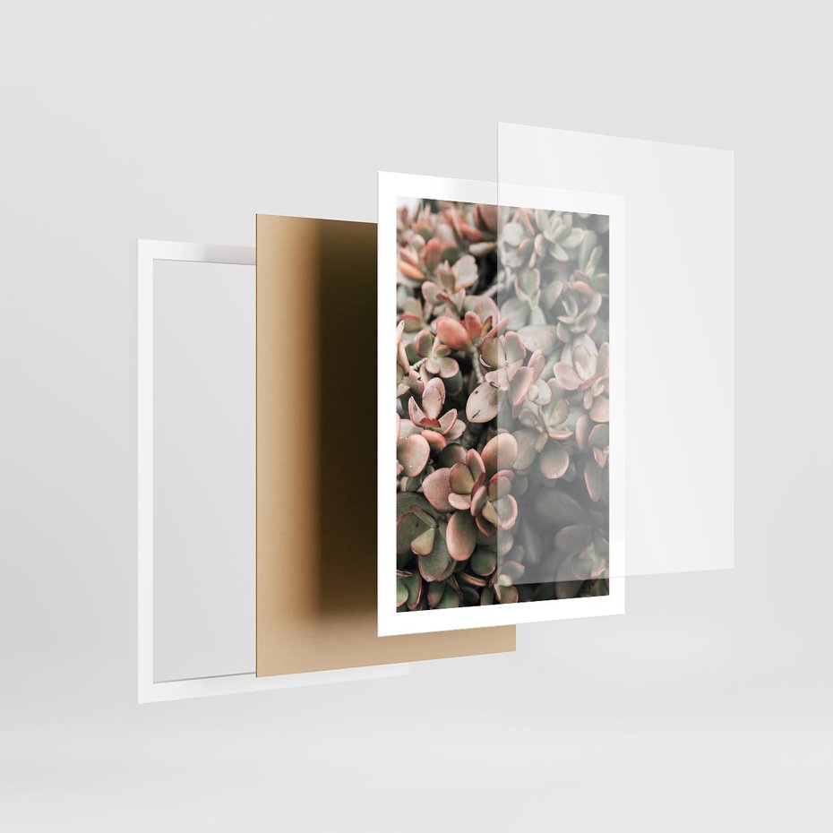 Plakat w ramie 50x70 - Sukulentowa Prostota - sukulenty, zielone liście - rama biała